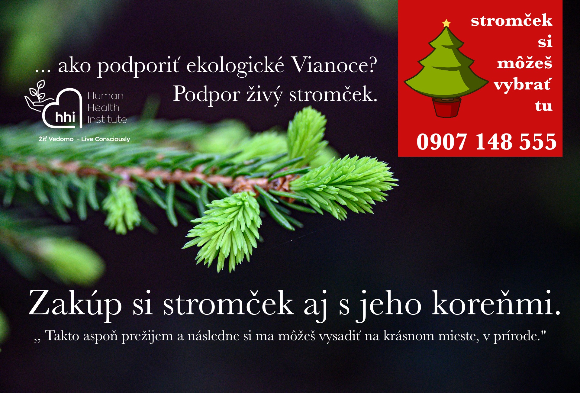 živý stromček