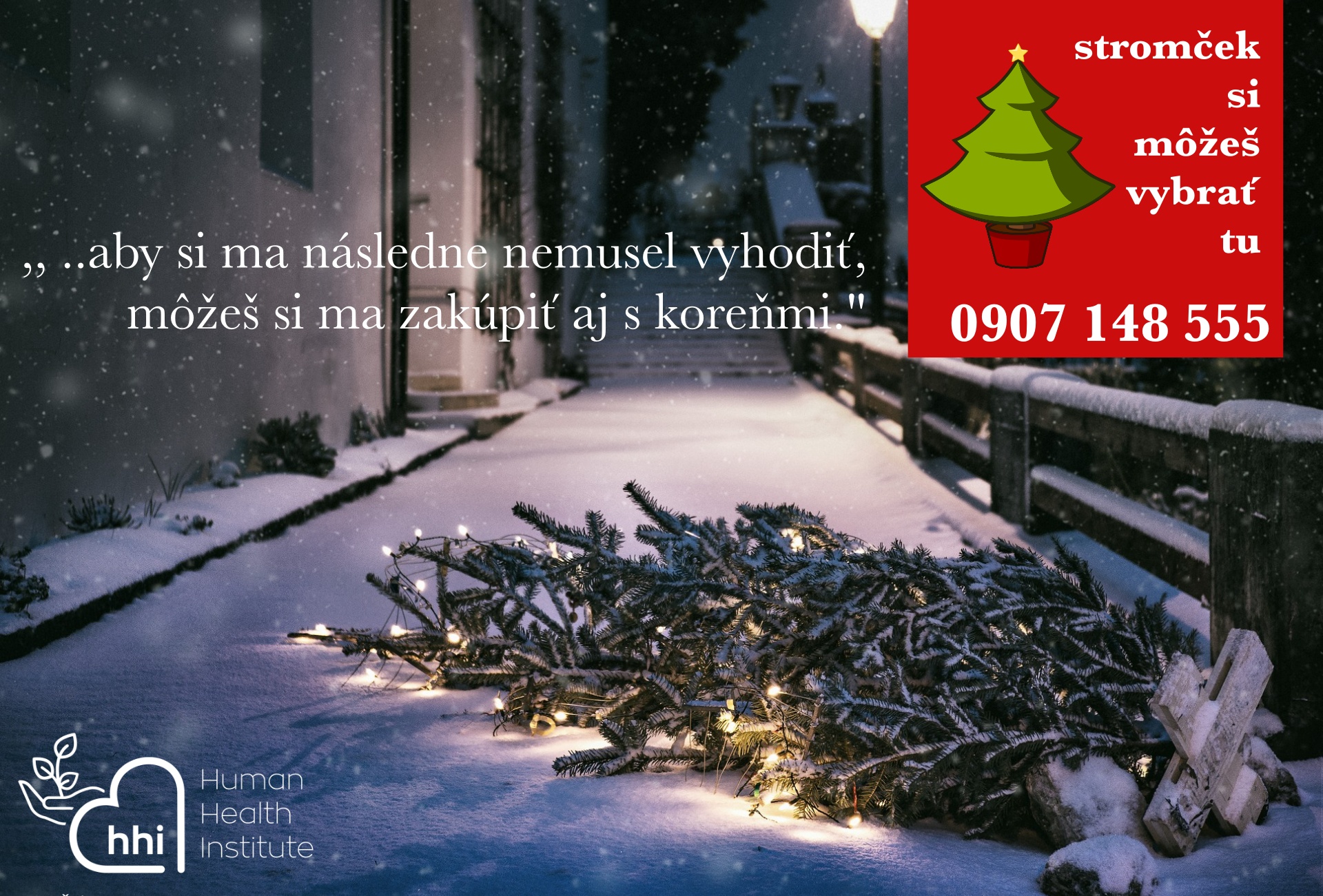 živé stromčeky