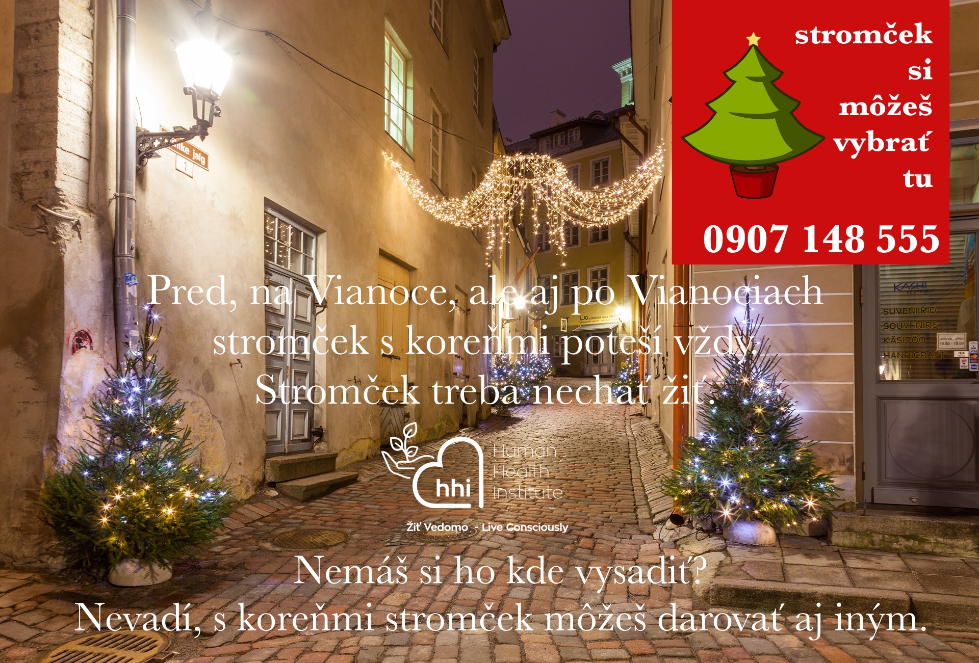 živý stromček