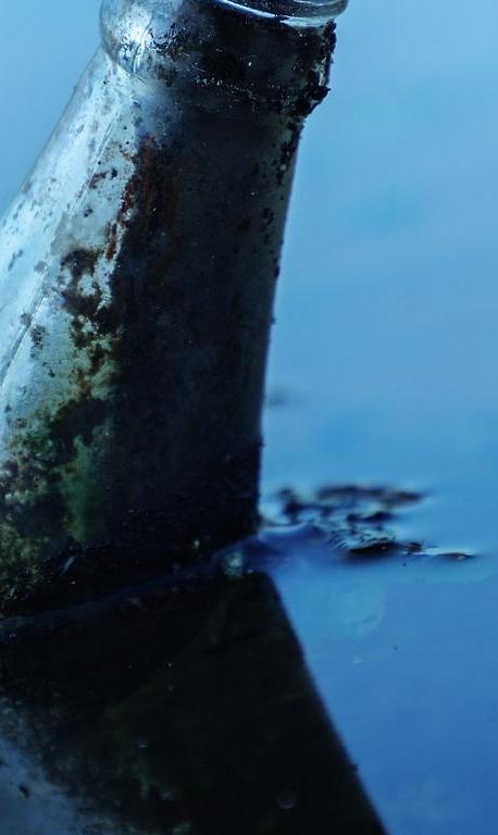 river cleanup danube