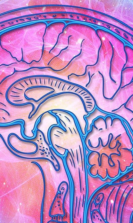 holisticky pristup
